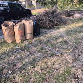 Leaf Removal by Donald Austile Lawn Care reviewed on October 3, 2025