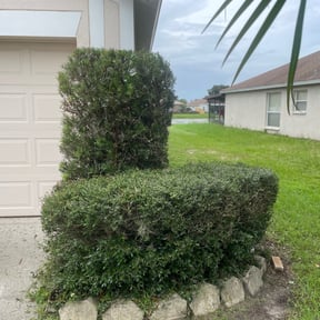 Bush Trimming by Garden of Eden landscaping reviewed on August 18, 2025