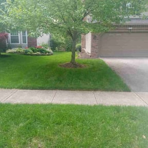 yard maintenance by Twins lawn care reviewed on July 11, 2025