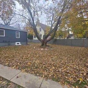 Leaf Removal by DONIT4U Landscaping reviewed on November 21, 2025