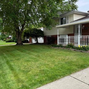 yard work by Pure Perfection Lawn care reviewed on November 23, 2025