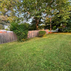 Bush Trimming by Jackson landscaping reviewed on July 31, 2026