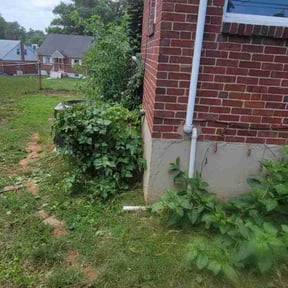 Bush Trimming by Brevard Lawn Masters reviewed on August 19, 2025