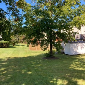 grass cutting by Y&R reviewed on August 12, 2024