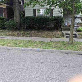 Bush Trimming by JDS Cut N Edge landscaping llc reviewed on November 25, 2025