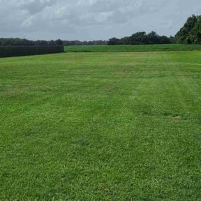 grass maintenance by JPS Lawn Care Services reviewed on July 13, 2025
