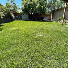yard maintenance by M&M Lawn Care reviewed on August 20, 2025