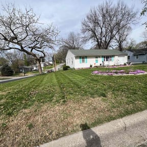 landscape maintenance by MOW MASTERS LLC reviewed on November 24, 2025