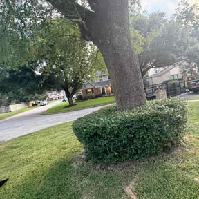 Bush Trimming by Personal Touch reviewed on July 6, 2026