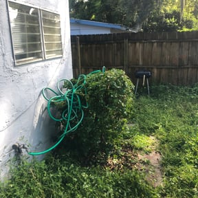 Bush Trimming by Cutter J’s Lawn Service reviewed on August 17, 2025