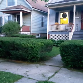 Bush Trimming by Midwest mowing reviewed on August 21, 2025