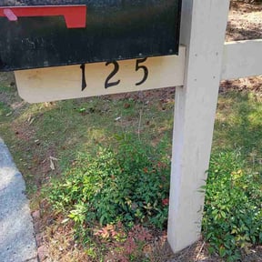 Bush Trimming by Jb’s Landscaping and Property Maintenance reviewed on May 19, 2026