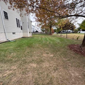 Leaf Removal by KC Lawn Services reviewed on October 18, 2025