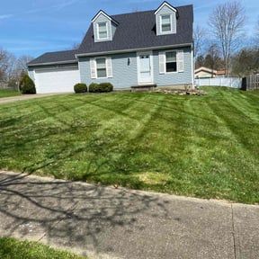 residential landscaping by Green Paw Lawn Service LLC reviewed on August 20, 2025