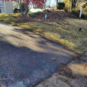 Leaf Removal by Thom's mowing and lawn care reviewed on November 24, 2025