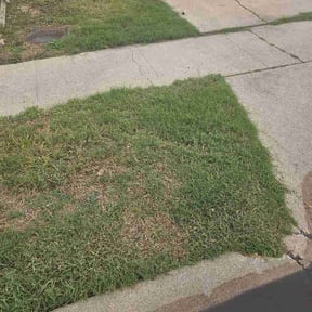 Leaf Removal by DR Lawn Care Services reviewed on April 11, 2026