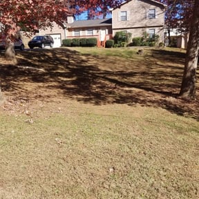 Bush Trimming by Capital Curb Appeal reviewed on August 16, 2025