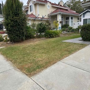 turf maintenance by McNeil&#039;s lawn care &amp; maintenance reviewed on April 26, 2024