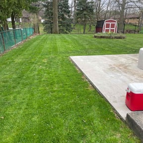 yard work by USA Lawncare Inc reviewed on August 16, 2025