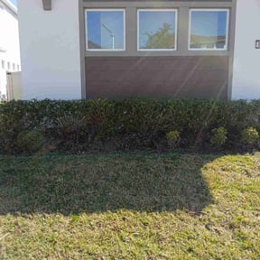 Bush Trimming by Stuff lawn maintenance llc reviewed on January 4, 2026