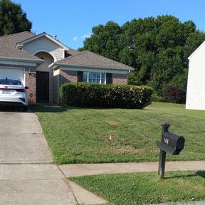 Bush Trimming by King Family Acquisition & Management reviewed on August 21, 2025