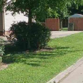 grass maintenance by Torres Landscaping reviewed on December 2, 2024