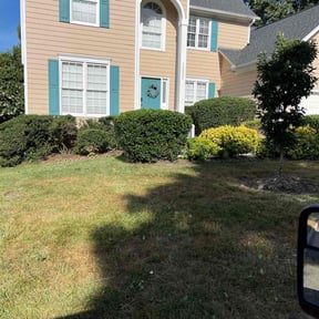 Bush Trimming by B&t lawn servicee reviewed on August 17, 2025
