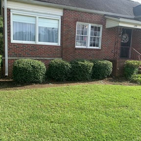 Bush Trimming by Jay's Landscaping reviewed on August 19, 2025