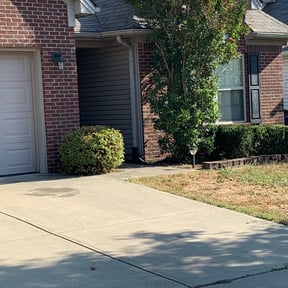 Bush Trimming by Both Sides Of The Fence Lawn Care and Maintenance LLC. reviewed on August 20, 2025