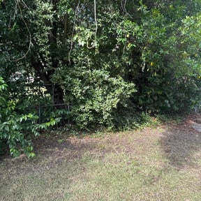 Bush Trimming by BG landscaping reviewed on November 21, 2025