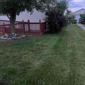lawn service by J&j lawn care reviewed on November 2, 2023