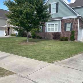 landscaping by Freedom Services reviewed on August 15, 2025