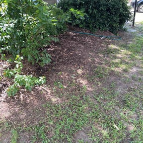 Leaf Removal by Royalty lawn care reviewed on September 10, 2025