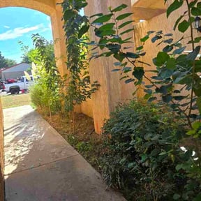 Bush Trimming by Velasco Landscaping reviewed on November 5, 2025