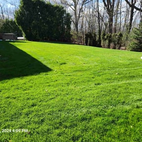 yard service by New Life Lawncare reviewed on November 30, 2025