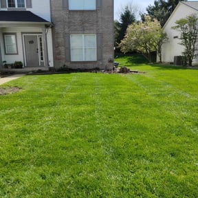 landscaping services by Mr.Bell LAWN/SNOW services reviewed on August 18, 2025