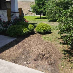 Flower Bed Weeding by P&amp;P Property Services LLC reviewed on August 17, 2025