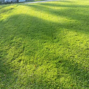 landscape maintenance by Lawns & Leaves, LLC reviewed on August 16, 2025