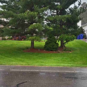 residential landscaping by Kings Cut Property Maintenance of WNY reviewed on August 17, 2025