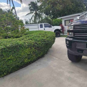 Bush Trimming by Ruben's Landscaping reviewed on August 21, 2025