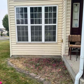 Bush Trimming by Kings mowing reviewed on August 21, 2025