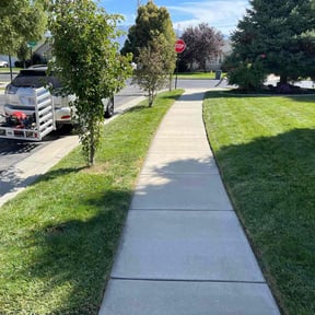 yard service by We like grass reviewed on August 19, 2025