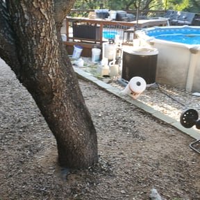 Leaf Removal by Earth tending lawn care reviewed on August 15, 2025