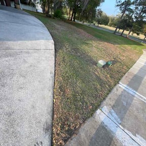 Leaf Removal by Shape Plain Capital reviewed on July 25, 2026