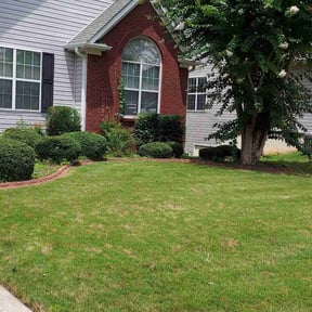 Bush Trimming by Willie Lawn Care and More LLC reviewed on August 21, 2025