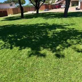 landscaping by A1 Reliable Lawn care Services reviewed on August 16, 2025