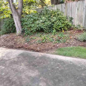 Leaf Removal by Essential  Scapes reviewed on October 21, 2025