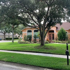 landscaping by Reddy property care reviewed on August 15, 2025