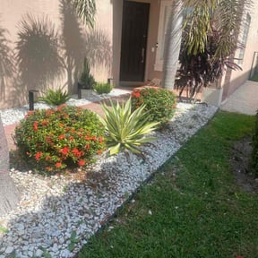 Bush Trimming by Marroquín Landscaping LLC reviewed on August 17, 2025