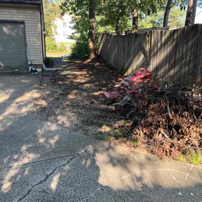 Leaf Removal by Dura Yard Service reviewed on September 16, 2025